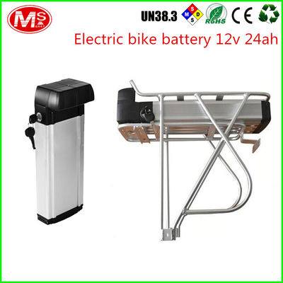 China LiFePO4 Electric Bike Battery 48v 1000w With Silver Fish Box 2000 Times Cycle Life factory